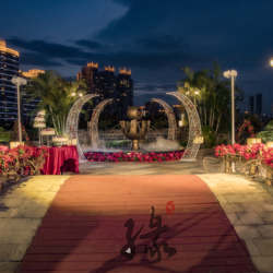 婚礼猫-结婚服务-wedplan-THE  RED  ROSE