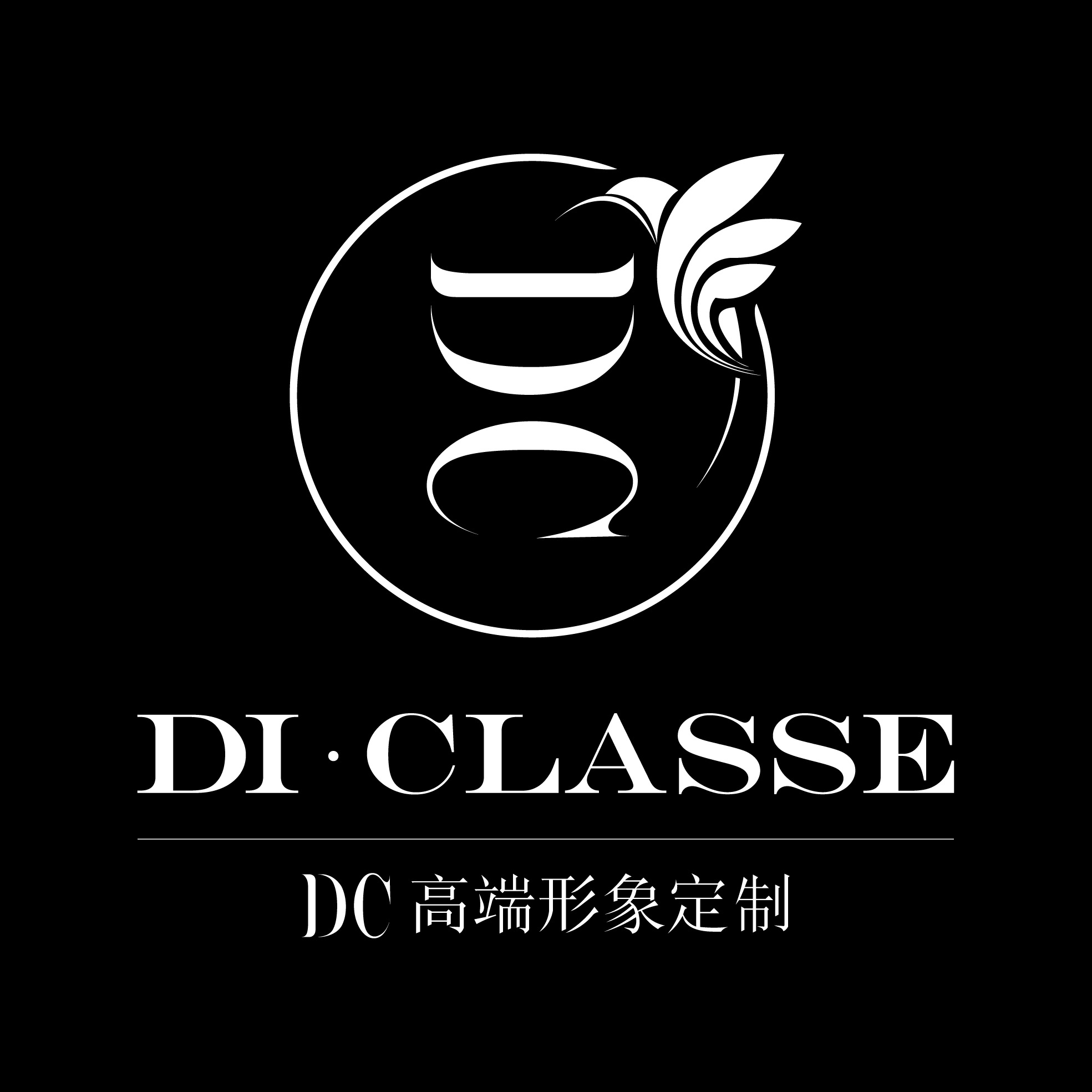 DC高端形象定制