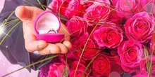 求婚鲜花的颜色 求婚玫瑰花用多少朵比较好？