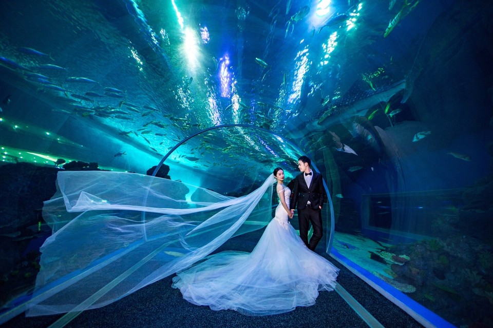 婚礼猫微信喜帖