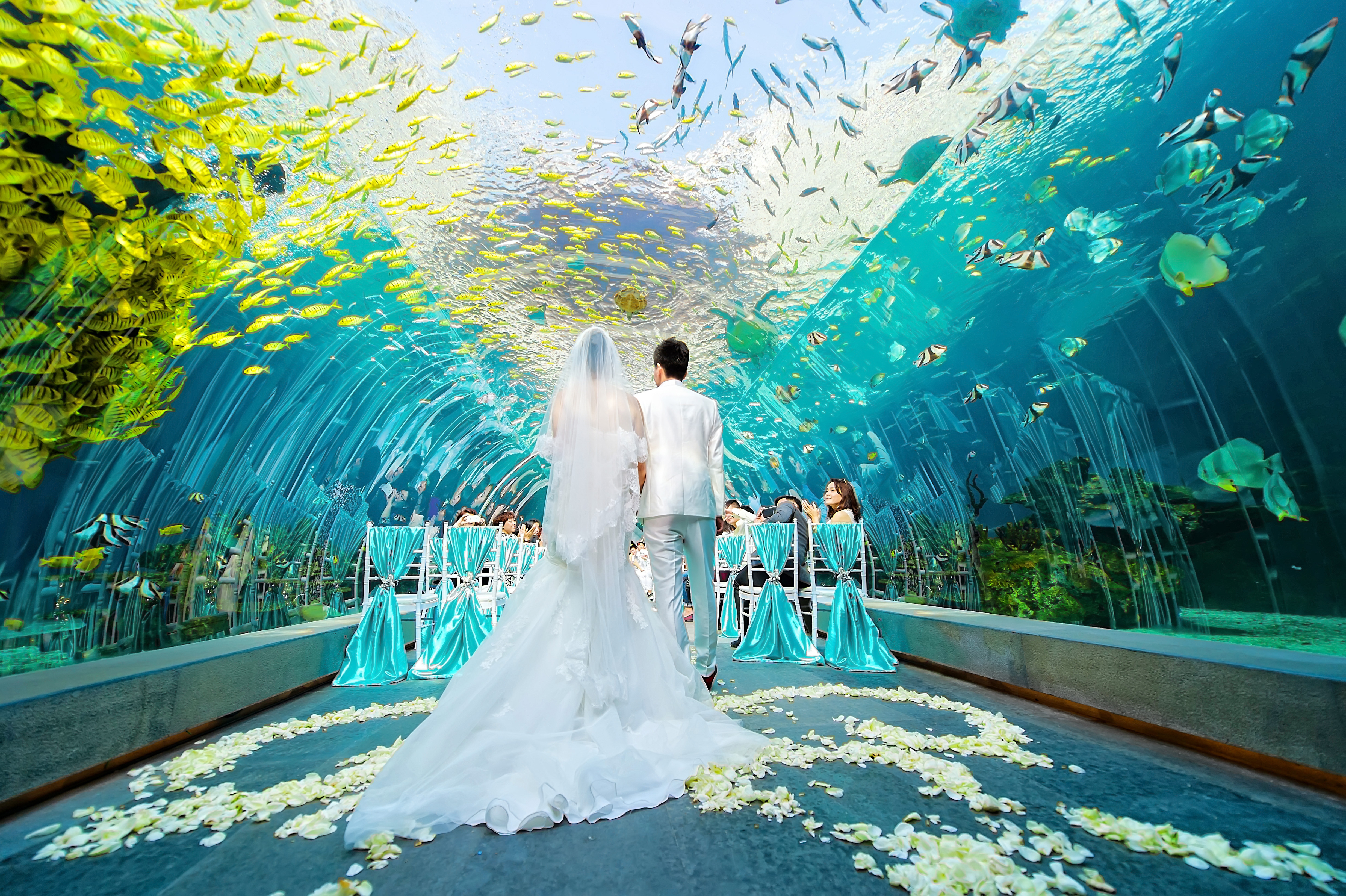 【珮珣婚礼】三亚海底世界 浪漫童话婚礼
