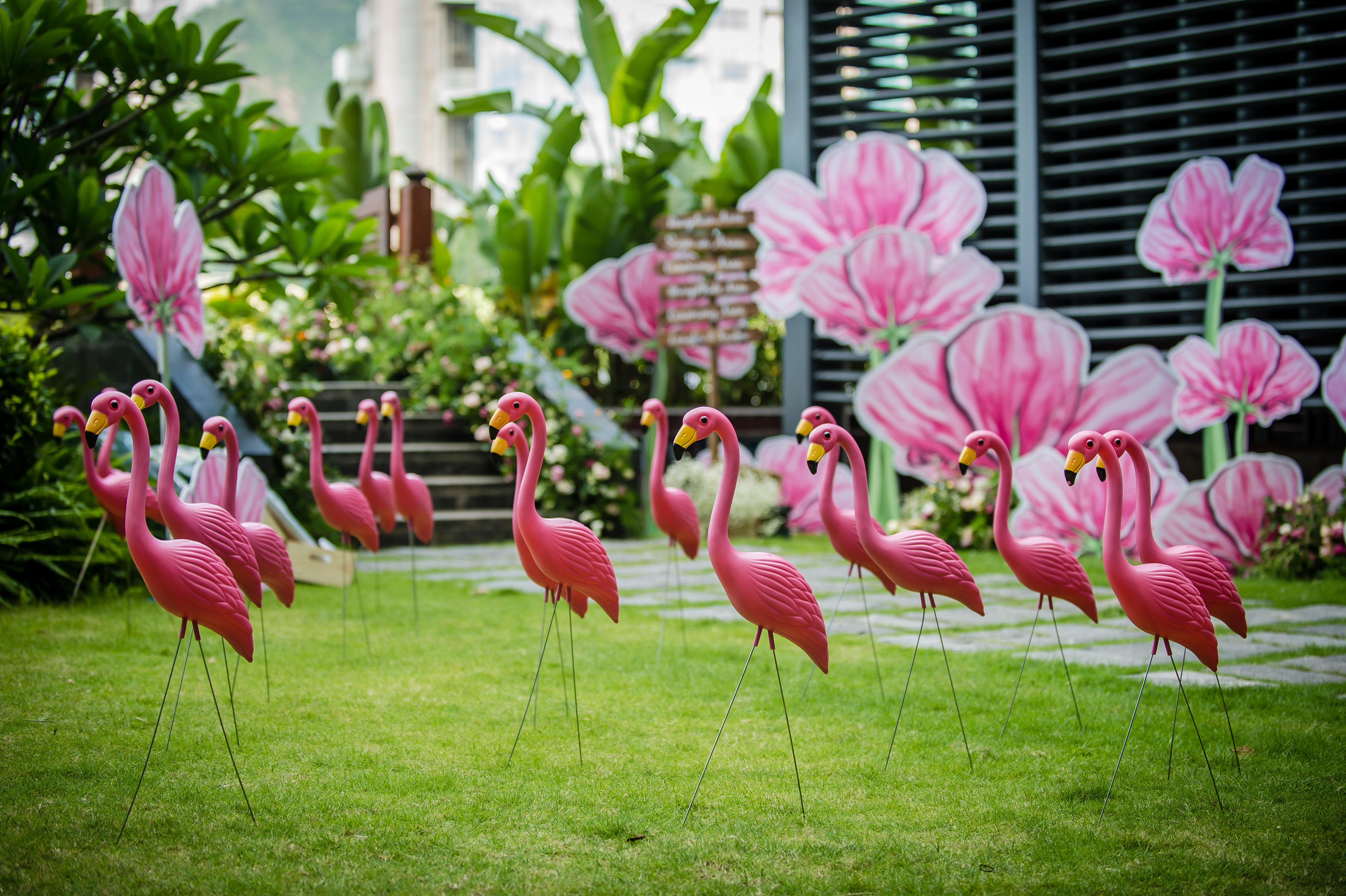 【珮珣婚礼】小清新火烈鸟 阳光森系户外婚礼