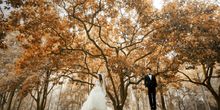 艾薇儿婚礼背景音乐，类似艾薇儿婚礼背景音乐的歌