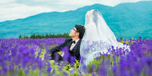 丽江旅拍，如何拍好薰衣草婚纱照？