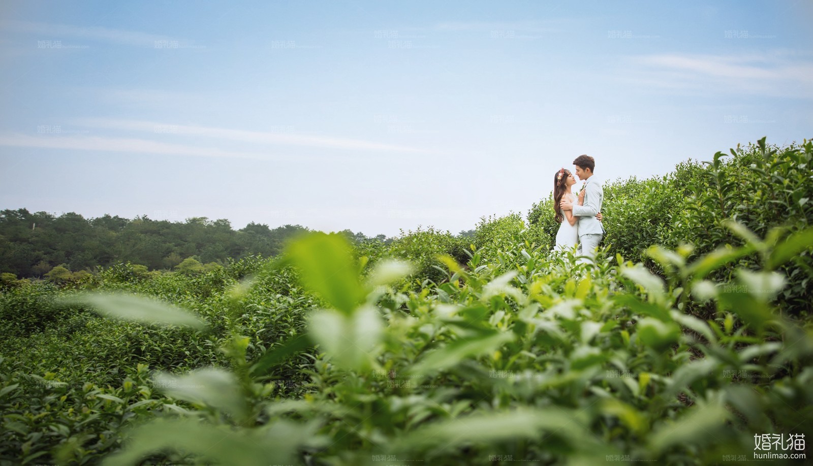 草地婚纱照,[草地],上海婚纱照,婚纱照图片