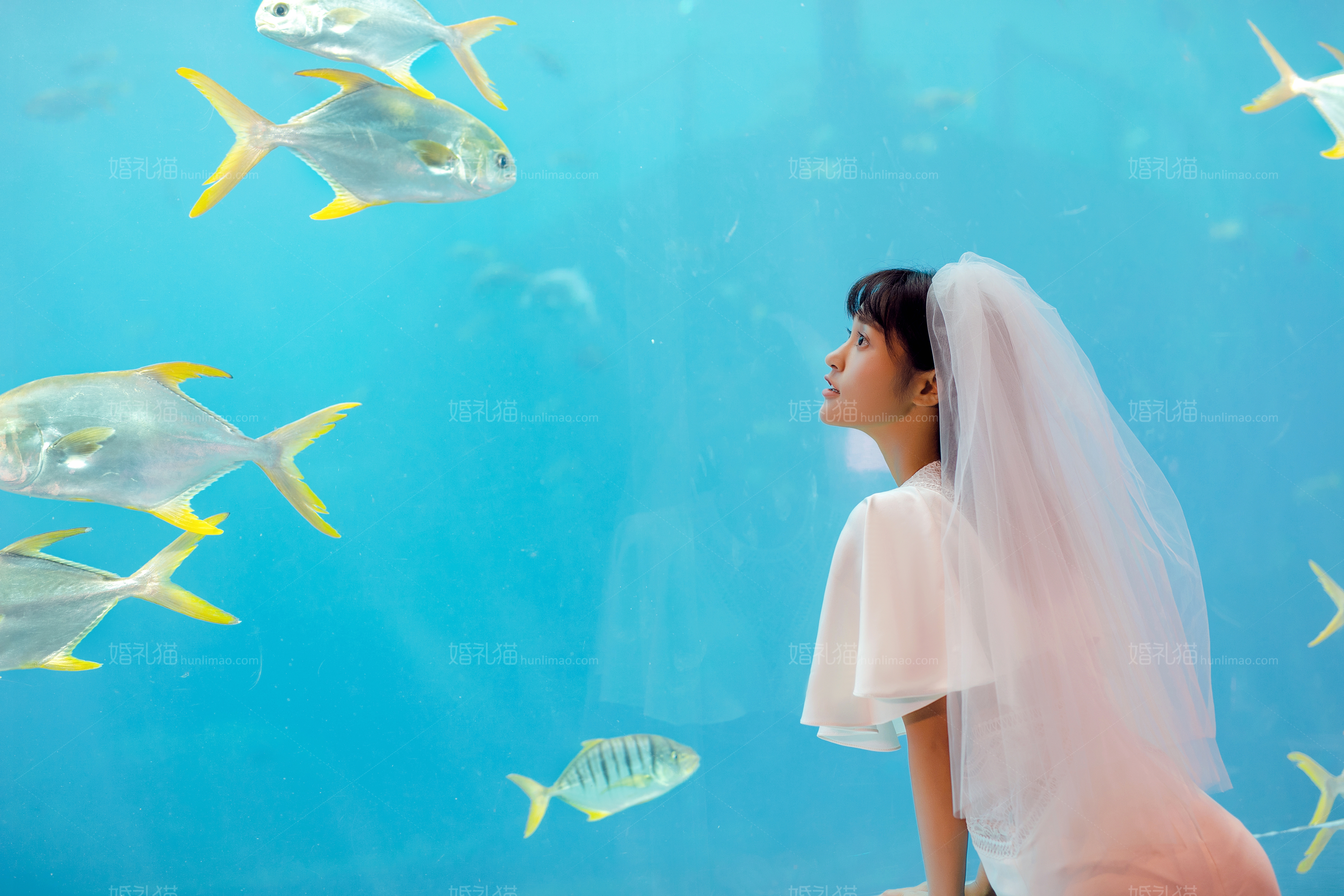 海洋系恋人,婚纱照，婚纱照图片