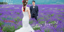 薰衣草婚纱照拍摄穿什么婚纱好看？