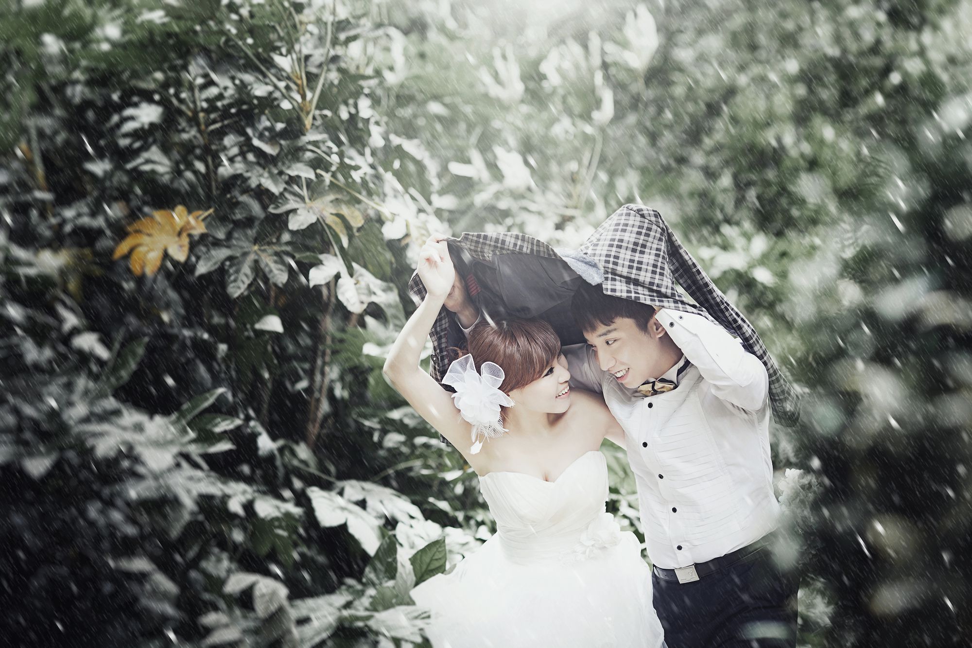 森系结婚照|园林婚纱摄影-上海婚纱照欣赏