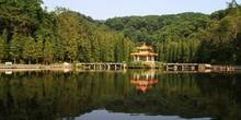 深圳婚纱摄影景点攻略：仙湖植物园