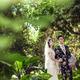 自然清新结婚照|园林婚纱摄影,[自然清新, 园林],深圳婚纱照,婚纱照图片